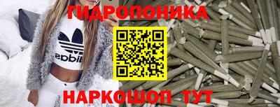 винт Ачхой-Мартан