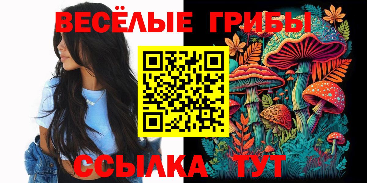 Галлюциногенные грибы мухоморы Горячий Ключ