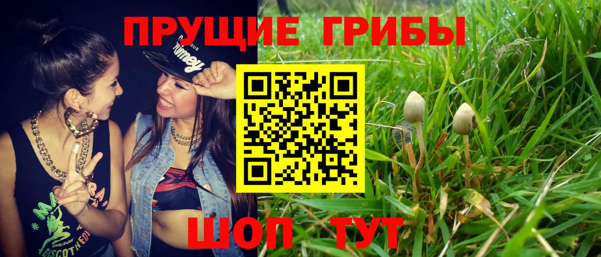 Горячий Ключ  Псилоцибиновые грибы мицелий  Галлюциногенные грибы мухоморы  Вход с VPN 